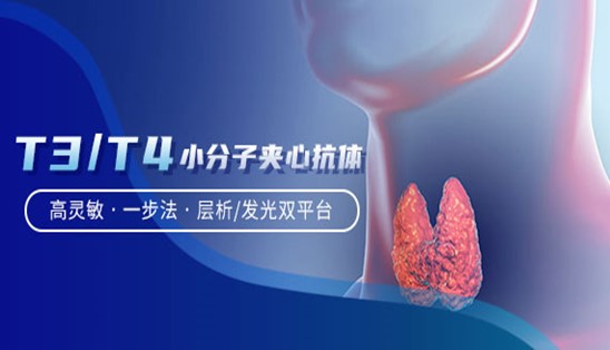 【小分子夾心法】甲功T3/T4，高靈敏&一步法